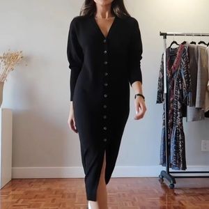 Aritzia Wilfred Dress sz Medium